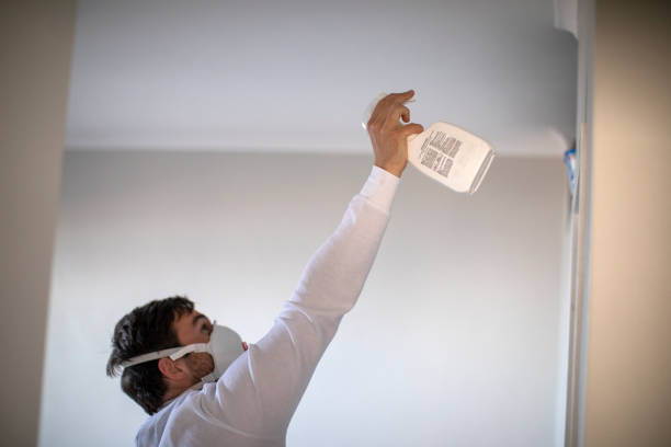 Best Emergency Mold Remediation in Hayward, CA